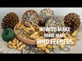 Creating Bird Feeders and Wildlife Attraction