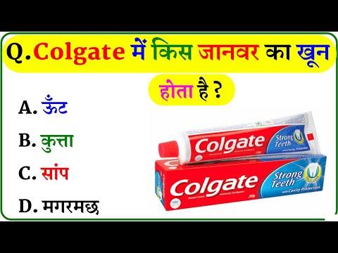 GK Question || GK In Hindi || GK Question and Answer || GK Quiz ||