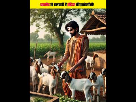 बकरीद से भारत को अरबों का फायदा! जानिए कैसे? | #shorts #eiduladha #india