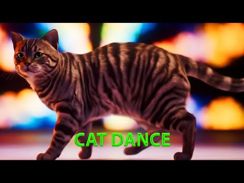Spinning Cat Dance - Cat (Kitten) Dance & Cat (Kitten) Videos