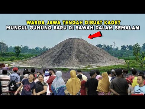 WARGA GROBOGAN JATENG HEBOH!! MENDADAK MUNCUL GUNUNG DI PERSAWAHAN DALAM SEMALAM, FENOMENA ALAM