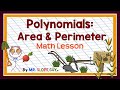 Polynomials in Area and Perimeter Problems