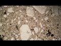 Porphyritic Rock Characteristics