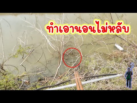 พอได้ทำขนม