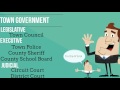 Local Government Structure and Functions