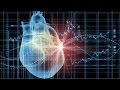 Heart Electrical Activity and Function