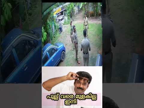 ഇതിൽ ഇപ്പൊ ആരാ ബുദ്ധിമാൻ!! ഓടിയവൻ തിരിച്ചു വരോ😂! plz subscribe #shorts #funny #kerala