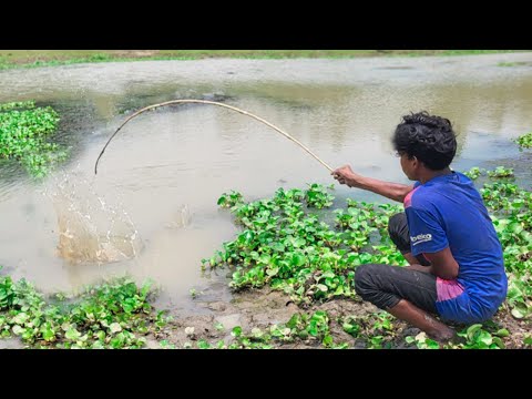 Best Fishing Video 🎣🐟 2025 | Village Small Boy Catch Fish by Hook From Canal With Beautiful Nature