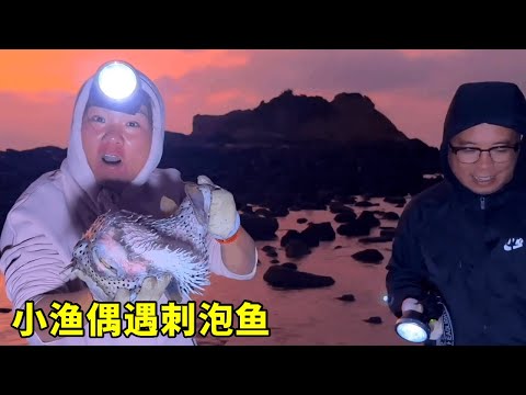 小漁夫凌晨突擊無人島，偶遇擱淺刺泡魚，直呼這次撿到好貨！ 【漁小仙】