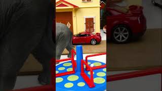Зоопарк пустой! Все животные в городе 😱 Что делать? #игрушки #длядетей #щенячийпатруль
