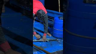 Hook Fishing 💢 King Fishes #fishing #fishboat #fish
