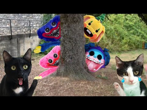 Si Project Playtime fuera en la vida real Rewind 2022 con videos de gatos Luna y Estrella en español