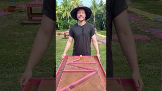 Survivor vs Beast Games