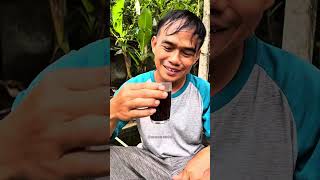 Si mancung minum kopi tengge tengge