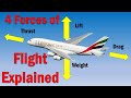 Forces and Principles in Flight