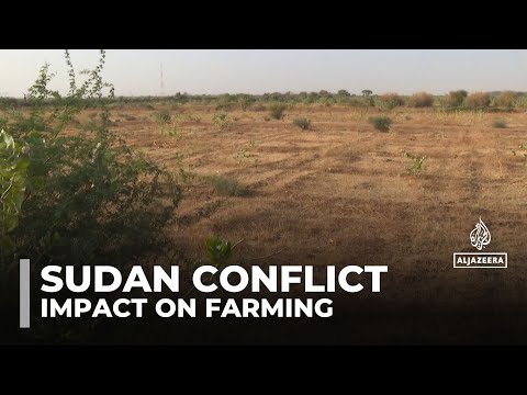YouTube video thumbnail: 21 Months of Conflict in Sudan Cripple Farming and Food Production