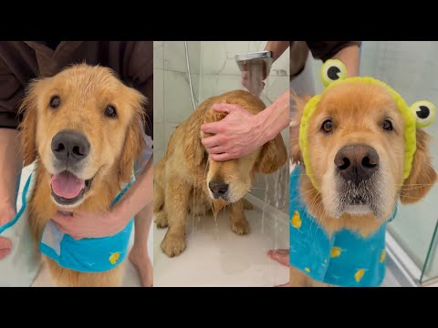 Sterling And Colin Take A Bath