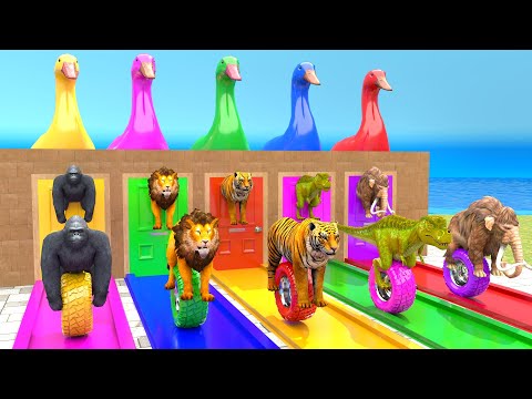Elephant Tiger Gorilla Lion T Rex Guess The Right Door ESCAPE ROOM CHALLENGE Game