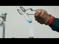 Exploring Physical and Chemical Changes in a Virtual Lab