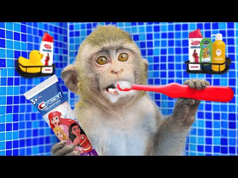 Monkey Nana take a shower so cute and clean the toilet | Monkey Baby Challenges