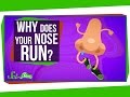 Understanding Runny Noses: Biology and Physics