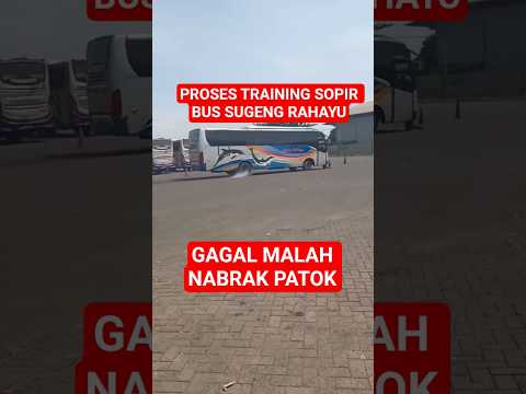 Proses training sopir bus sugeng rahayu gagal malah n4brak patok #shorts