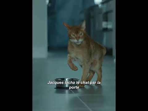 films reportages, histoire, mini série film short #série #film #france #cinema #viralvideo #drama