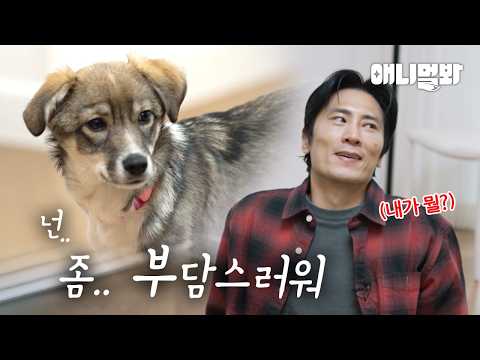 쉿...파워 'I' 똥개의 비밀스러운 취향 공개🤫ㅣSecret Taste of the Super Shy Mutt Dog