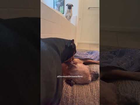 I promised her I’d always take care of her no matter what. 🐾💛🐾🫶