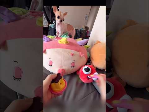아 해 봐! 공포의 간식 시간🔥2탄 ￼#치와와 #ASMR