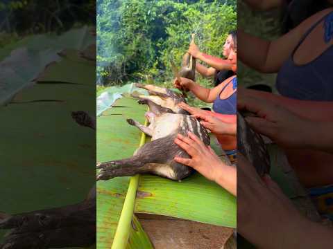 Cultura dos povos Indígenas da Amazônia