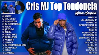 Cris MJ Top Tendencia 2024 ~ Mejor Collection De Canciones De Cris MJ 2024 ~ Album Mas Exitos 2024