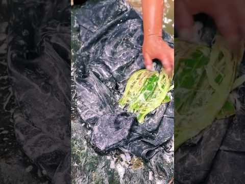Es mejor que el jabón esta planta para lavar la ropa