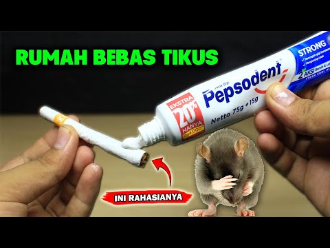 Ternyata cuma begini, rumah SELAMANYA aman dari TIKUS !!!