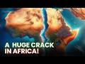 East African Rift Dynamics and Impacts