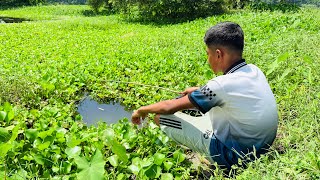 Unique Fishing Videos 🎣🐠 Fishing In Village Pond Water  ~ Catching Golden Crap Fish By Hook 🎣🐠😍