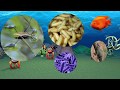 Understanding Ecosystems and Environments
