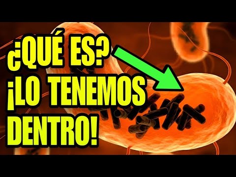 Obeliscos: ¿Una Nueva Forma de Vida dentro del Cuerpo Humano?