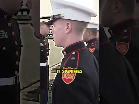 How many leadership principles are there #usmc #marinecorps #usmarines #marines #bootcamp #corps