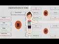 Prepositions of Time Usage