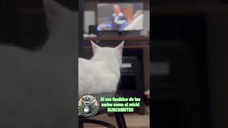 SUSCRIBITE #series #anime #netflix #primevideo #hbomax #disney #marvel #peliculas #analisis #michi