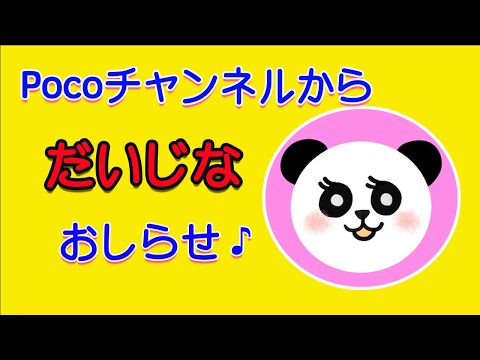 Pocoチャンネルからだいじなおしらせです♪ | New announcement | しつけ 子育て 動画 | Poco Channel