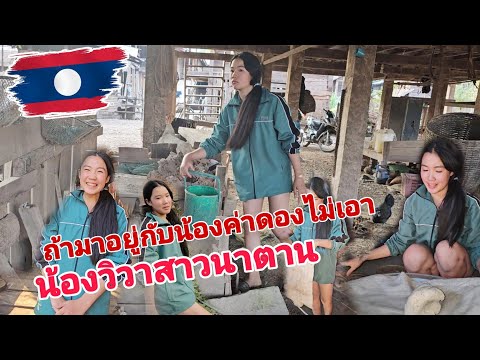 ค่าดองน้องบ่อเอาถ้าทำแบบนี้