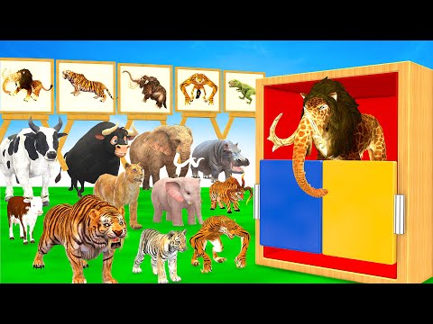 Guess The Right Animal Image With Elephant Cow Tiger Hippo Buffalo 5 Time Challenge Long Slide