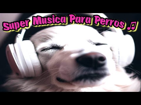 🎧Musica Diseñada para *Perros* 🐶Música Calmante para dormir Perritos y Cachorros 2024 -25 inquietos