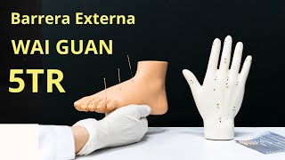 Baja la FIEBRE y combate INFECCIONES
