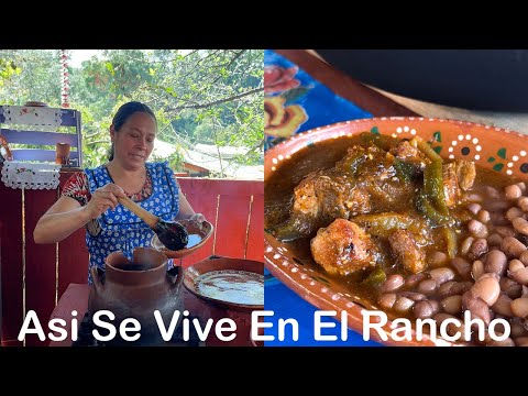 Prepara esta Deliciosa Carne de Puerco Estilo Ranchero como mi Abuela!