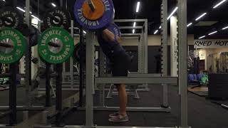 Romanian deadlifts, squats, isometric presses, and Bulgarian split squats