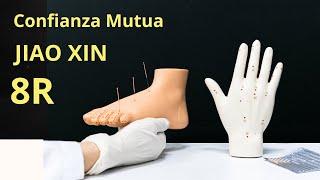 Aumenta tu CONFIANZA y elimina el MIEDO con este punto