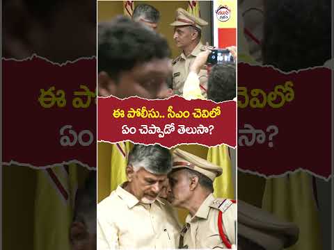 ఈ పోలీస్ చంద్రబాబుతో ఏం మాట్లాడాడో తెలుసా.? | #cmchandrababu | #apnews | #yuvagalam | #shorts